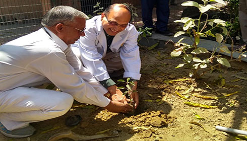 Dr V K Tiwari planting a sapling at RML Hospital, New Delhi