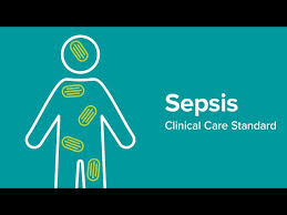 Global Leaders Gather to Address Critical Gap in Sepsis Care